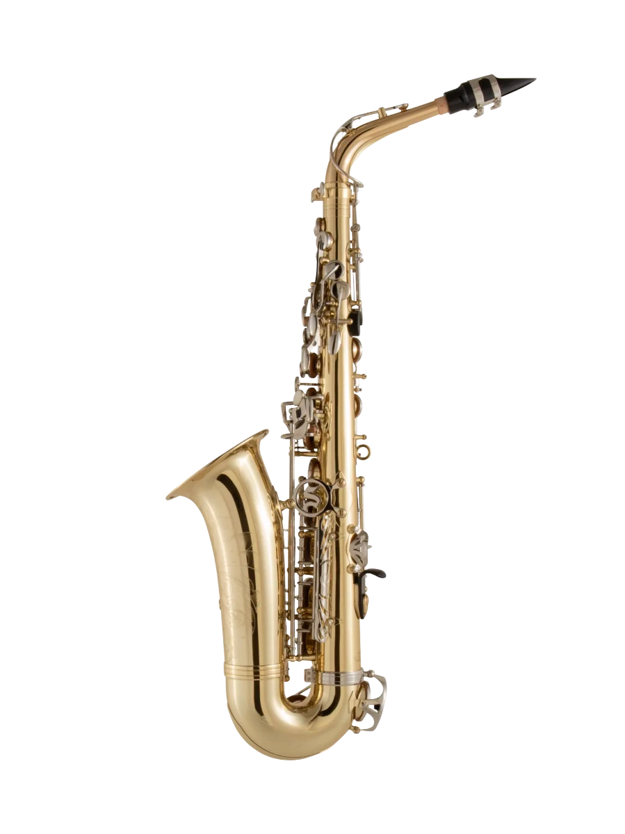 Selmer Alto Saxophone in Eb SAS301