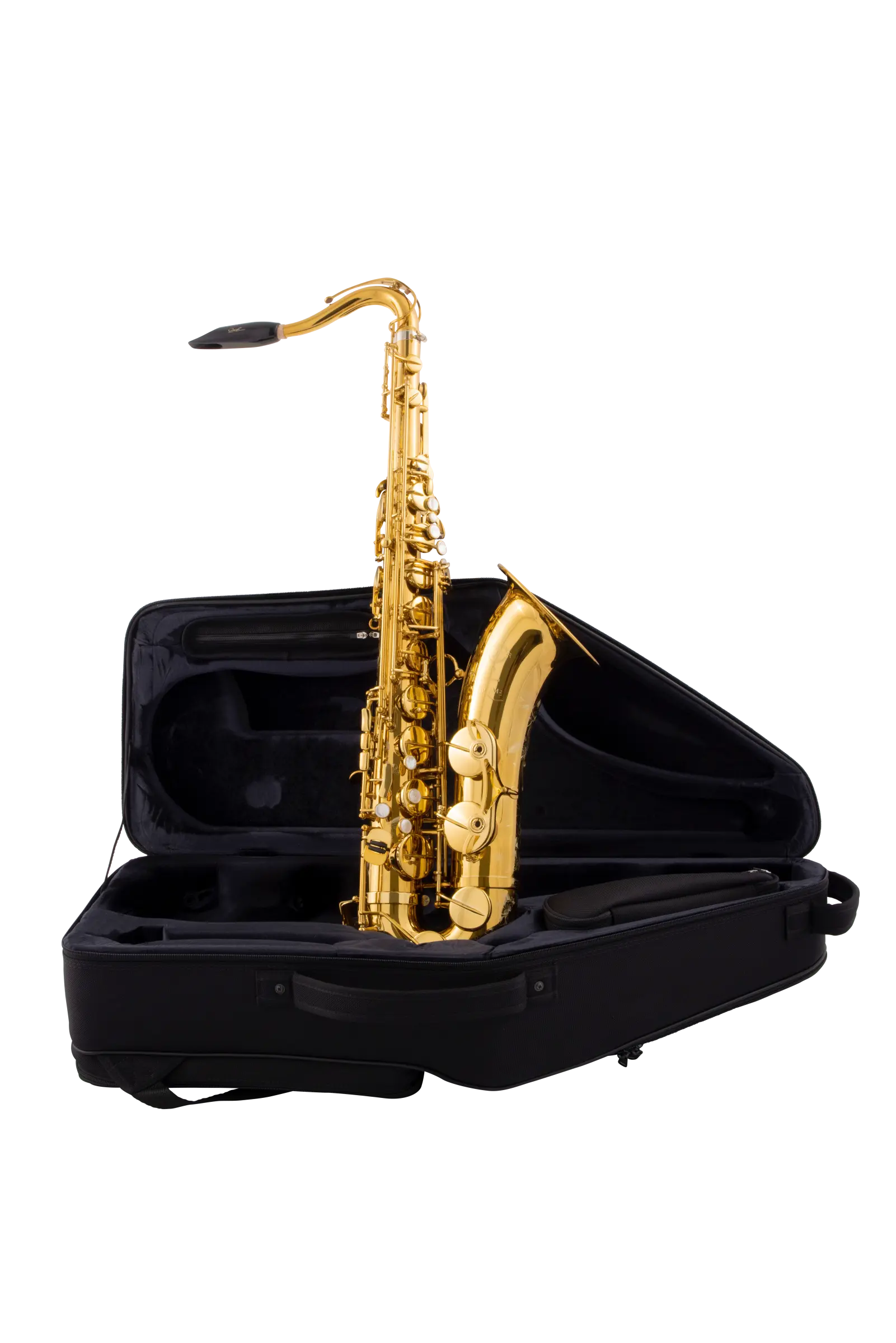 94DL HSP Professional Tenor Sax - zoomed in