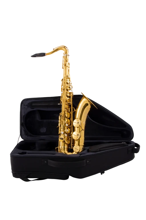 94DL HSP Professional Tenor Sax