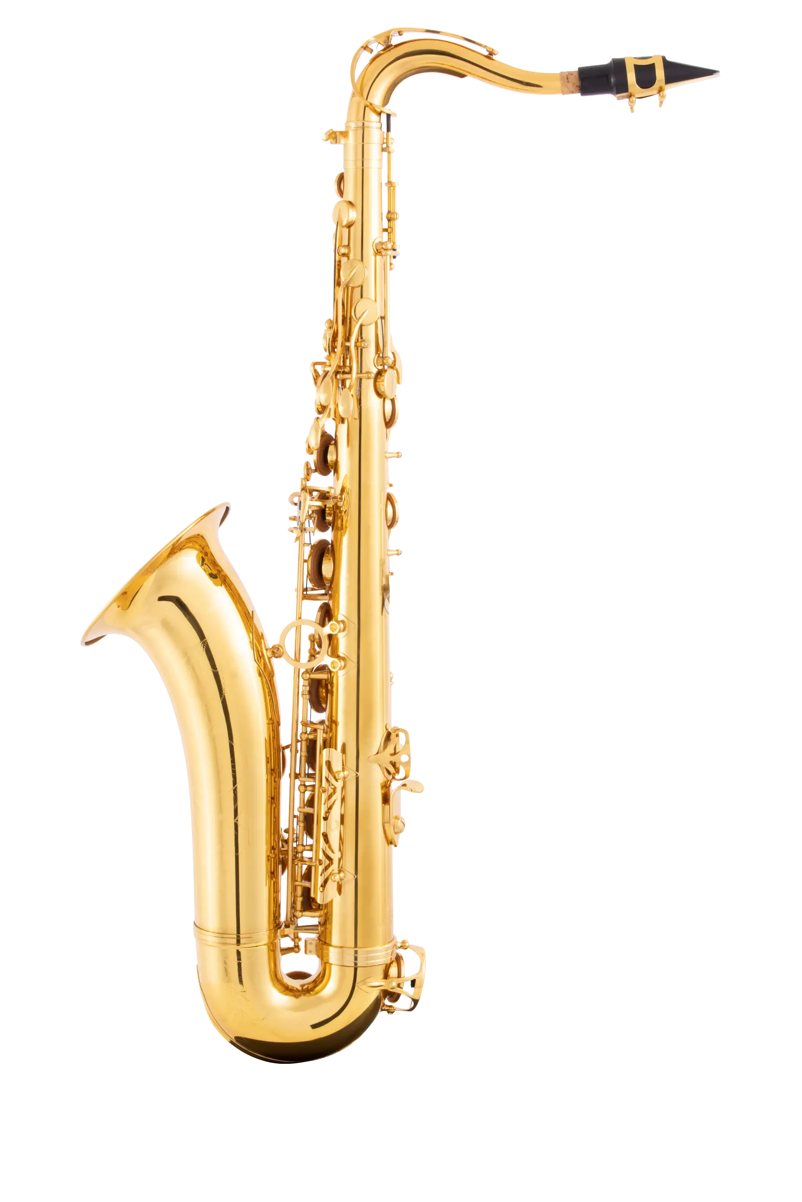LTS211 Leblanc Student Tenor Saxophone - zoomed in