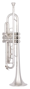 Bach Trumpet in Bb BTR302S