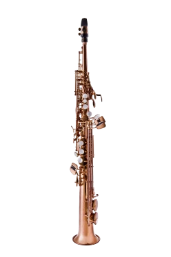 Leblanc Premiere Soprano Saxophone in Bb LSS711DL