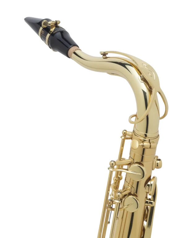 54AXOS Axos Henri Selmer Paris Entry Level Professional Tenor Saxophone In Fr Vr Xcu 2