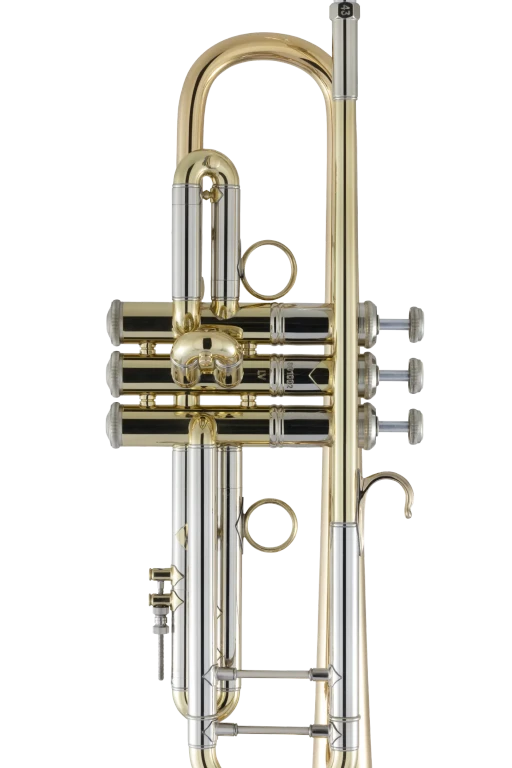 190L65GV Bach Professional Trumpet