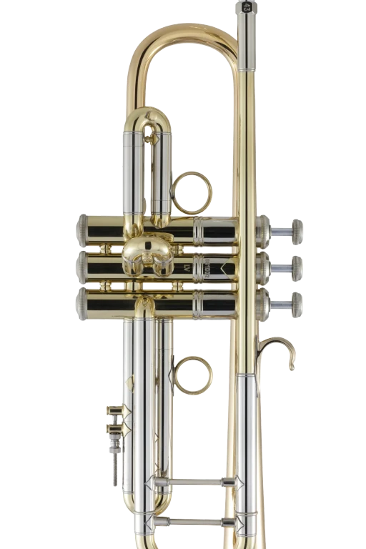 190L65GV Bach Professional Trumpet