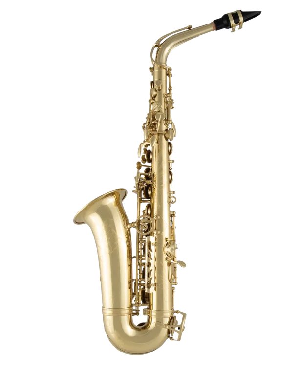 SAS711 Selmer Standard Professional Alto Saxophone In Bk Vr Fs