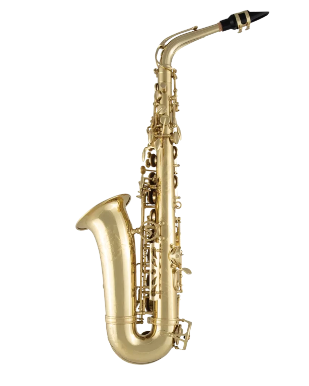 SAS711 Selmer Standard Professional Alto Saxophone In Bk Vr Fs