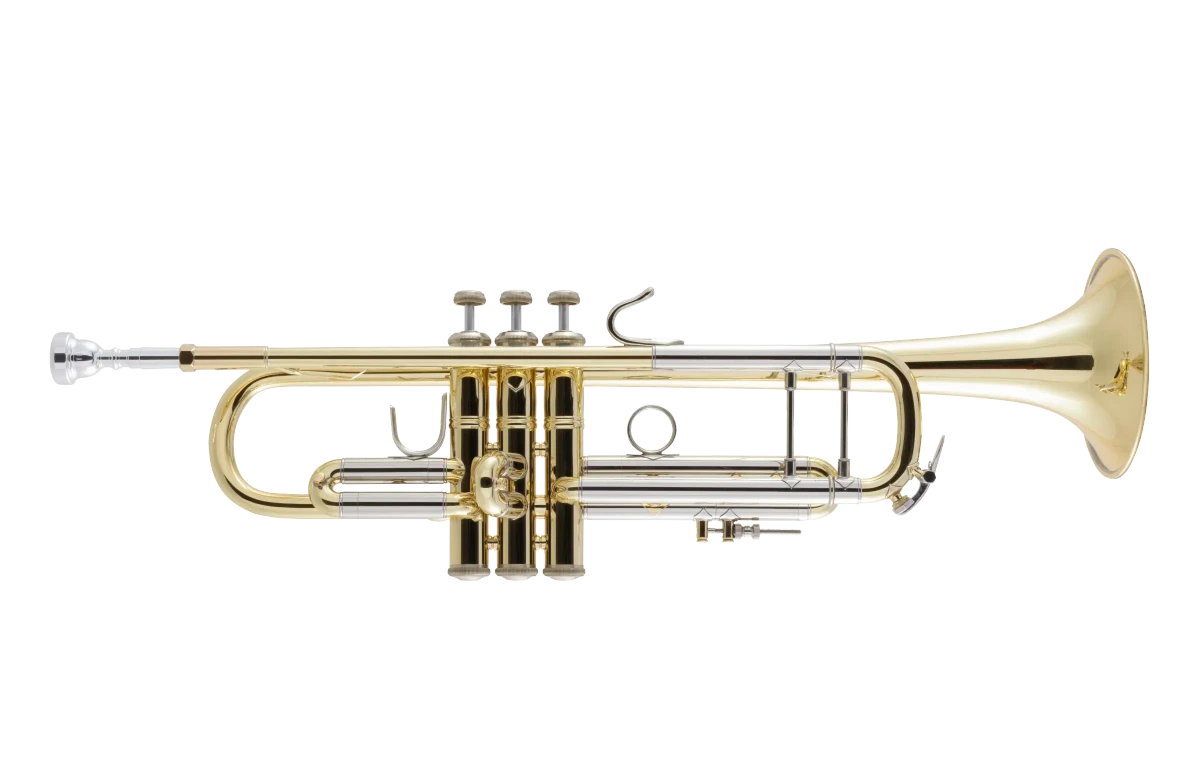 18043 Bach Professional Standard Trumpet In Fr Hz Fs