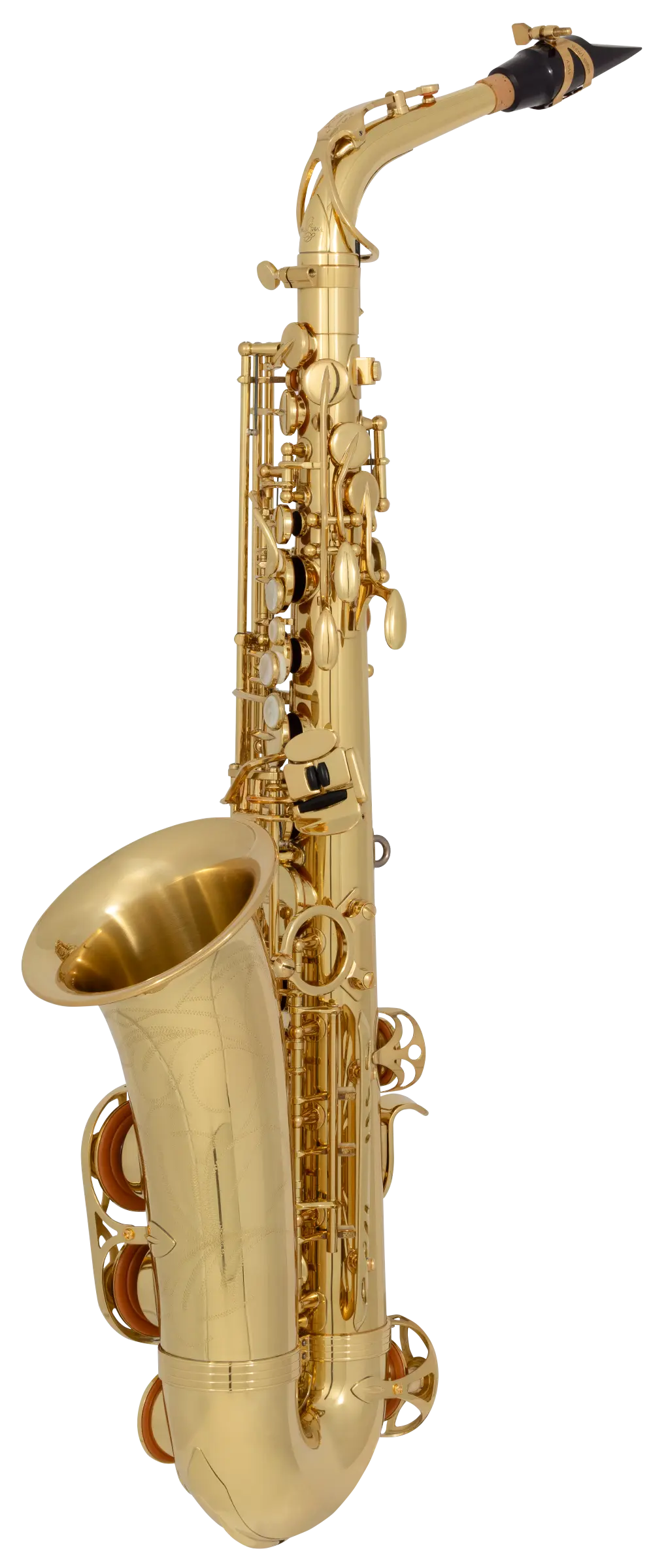 AW01 Yanagisawa Professional Alto Saxophone - zoomed in
