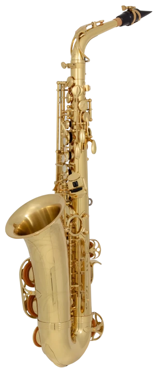 AW01 Yanagisawa Professional Alto Saxophone