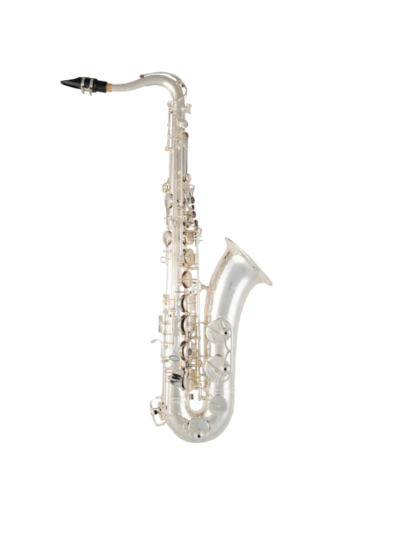 STS511S Selmer Silver Intermediate tenor Saxophone In Fr Vr