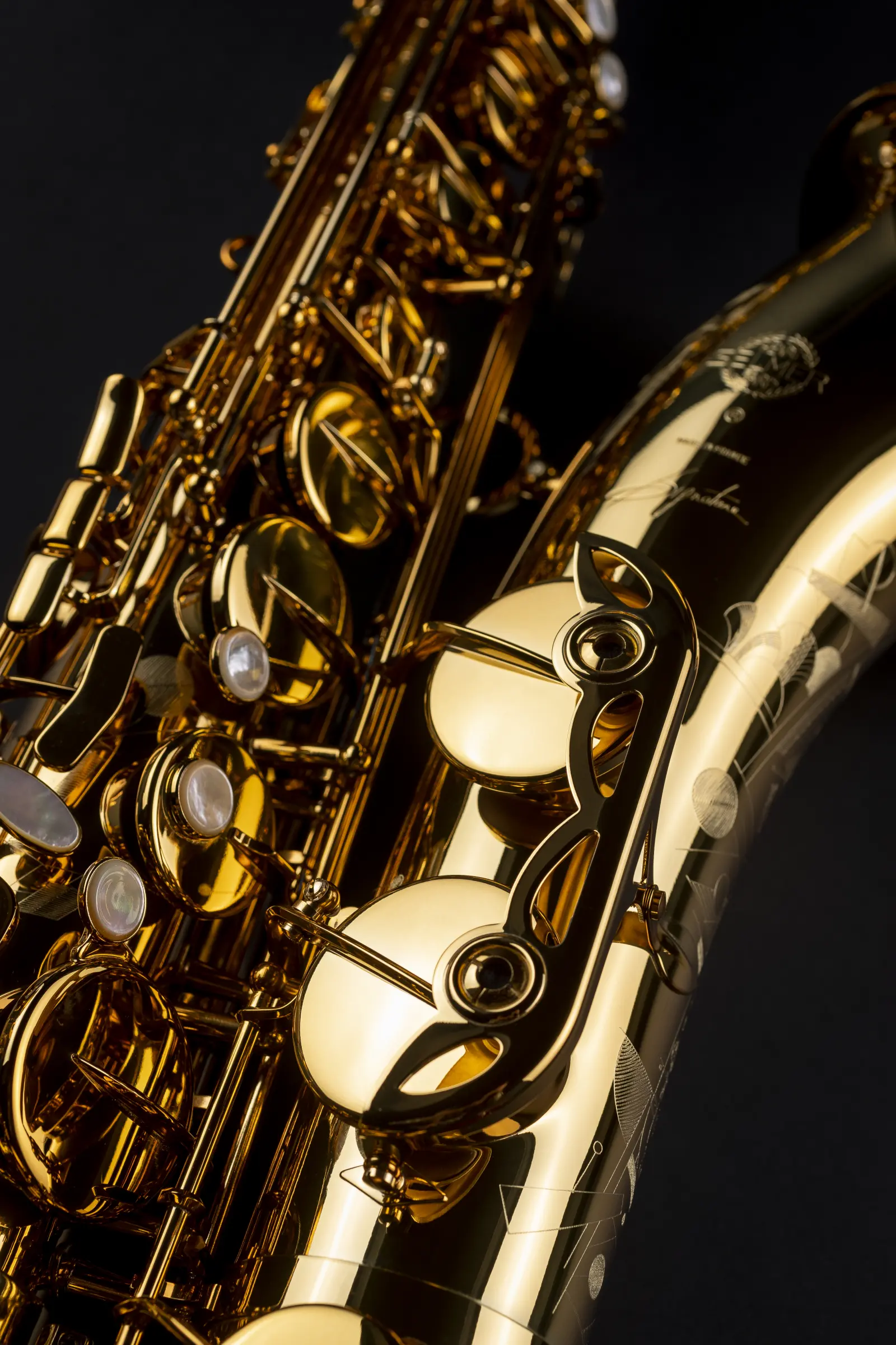 84SIG Selmer Professional Tenor Saxophone ArtShot - zoomed in