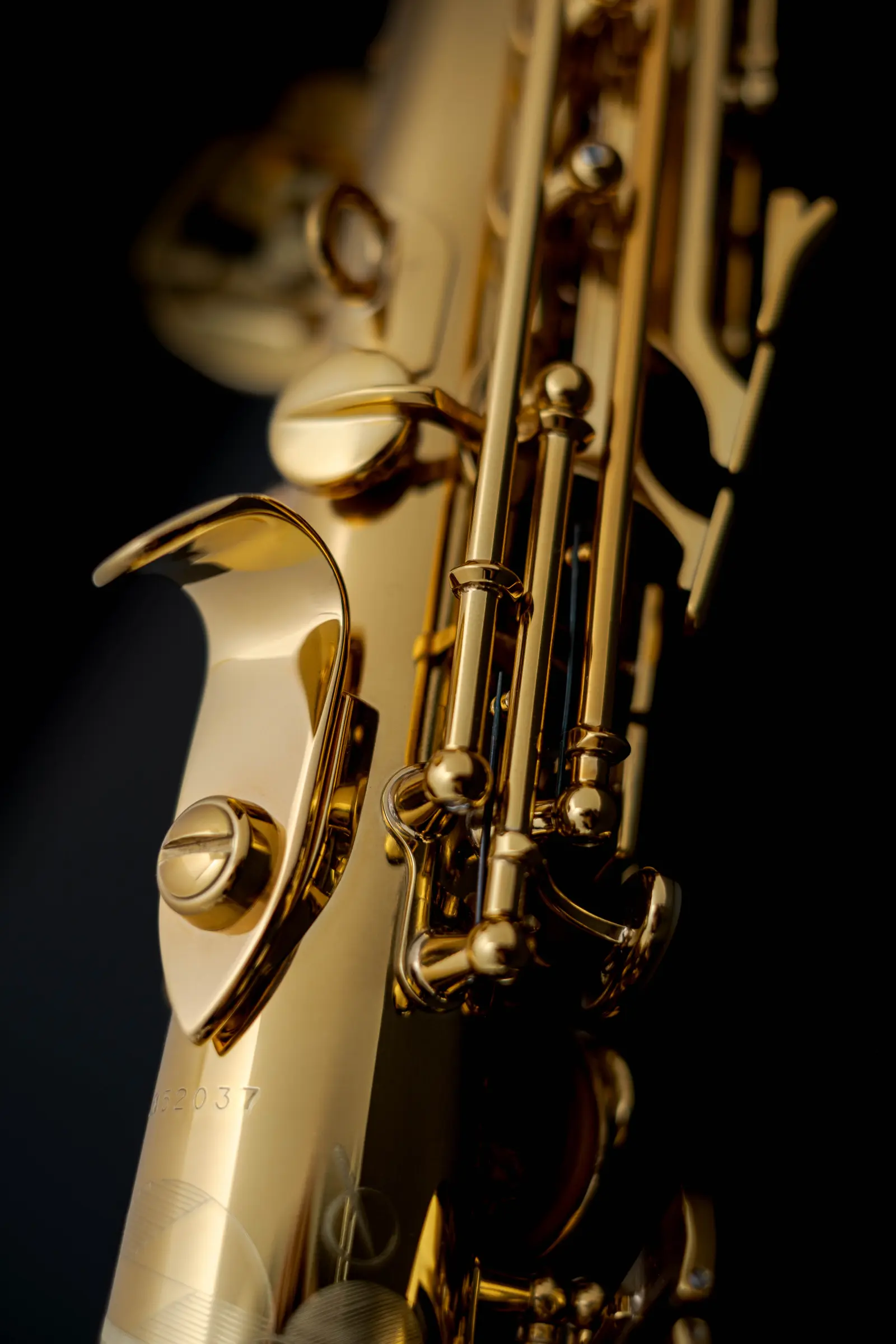 81SIG Henri SELMER Paris Signature Professional Soprano Saxophone - zoomed in