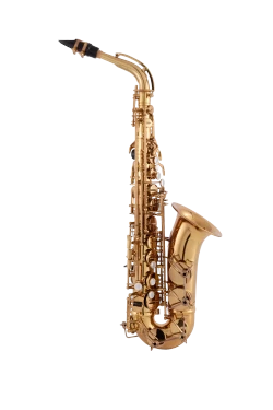 Intermediate Alto Saxophone CAS411DL