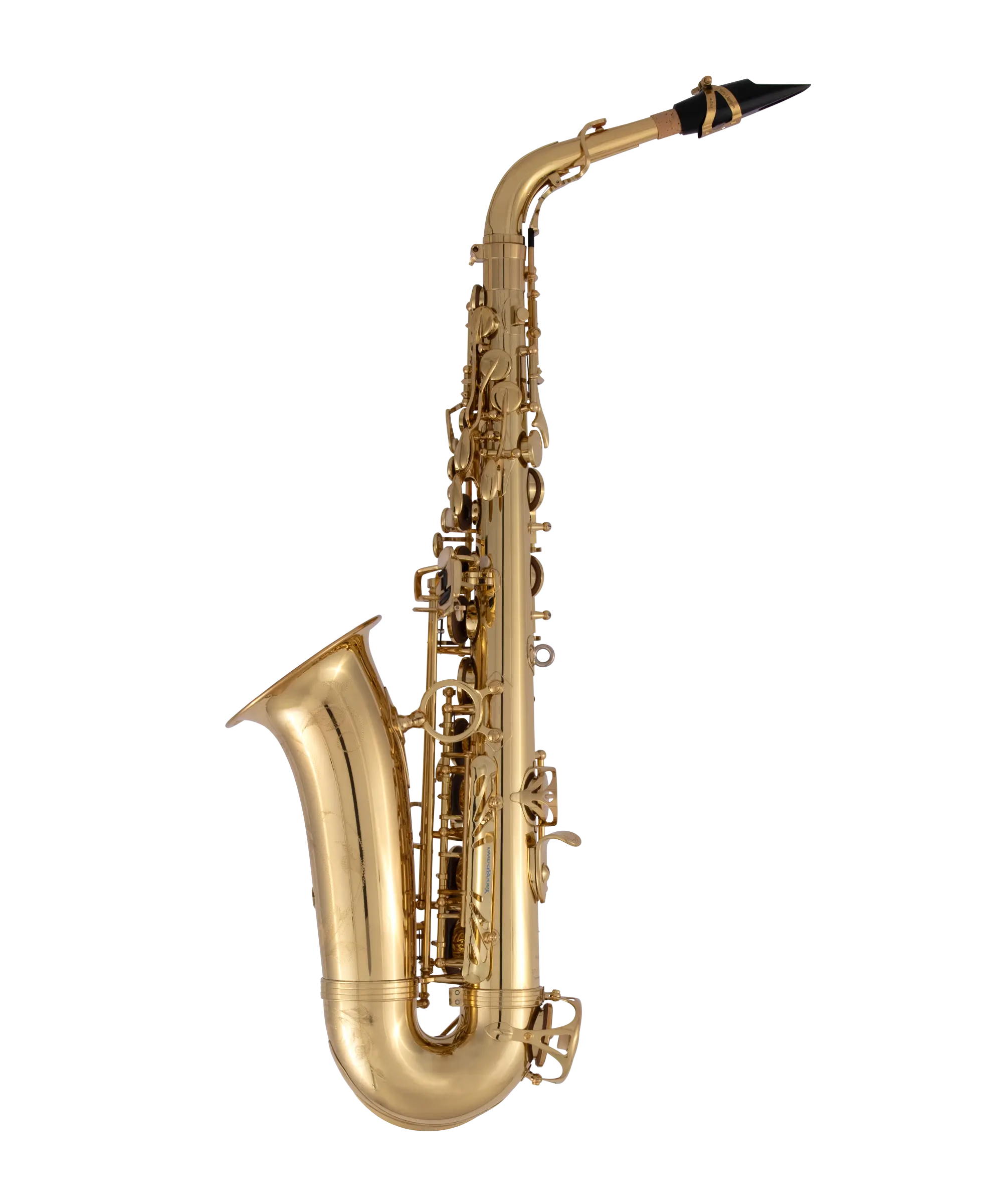 AW010 Yanagisawa Professional Alto Saxophone - zoomed in