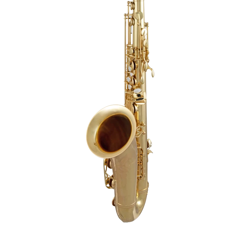 STS511 Selmer Standard Intermediate Tenor Saxophone In Sd Vr