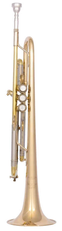 190L65GVU Bach Professional Trumpet