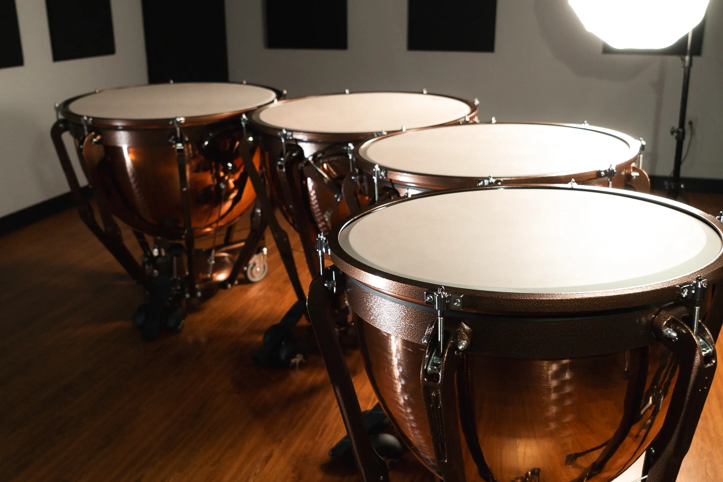 LTP504PG Ludwig Timpani Standard Lifestyle - zoomed in