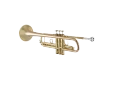 Bach Stradivarius Trumpet in Bb 17043GYR