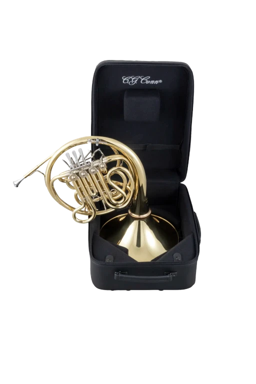 10DYS Conn Professional French Horn