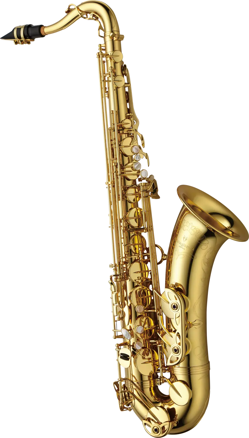 TWO10 Yaganisawa Professional Tenor Saxophone - zoomed in