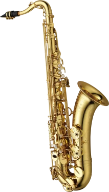 Yanagisawa Elite Tenor Saxophone in Bb TWO10