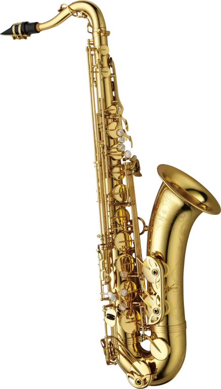 TWO10 Yaganisawa Professional Tenor Saxophone