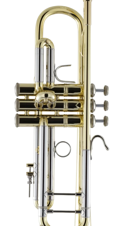 18043 Bach Professional Standard Trumpet In Fr Vr Ms