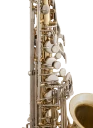 Selmer Alto Saxophone in Eb SAS301