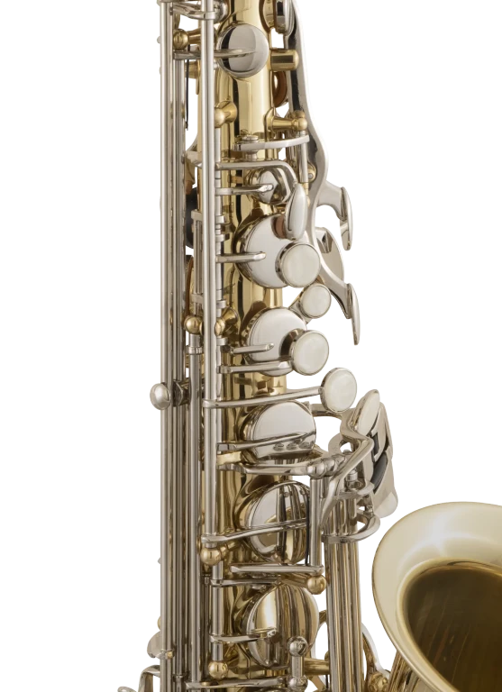 SAS301 Selmer Student Alto Saxophone In Sd Vr Ms