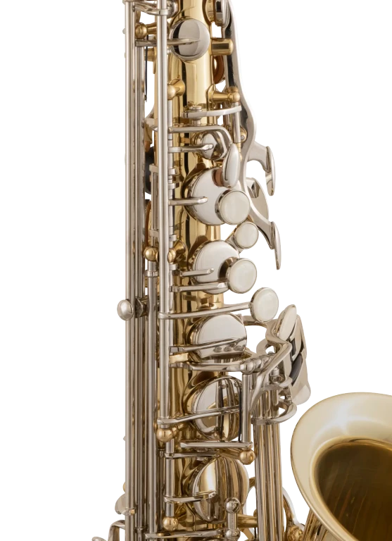 SAS301 Selmer Student Alto Saxophone In Sd Vr Ms