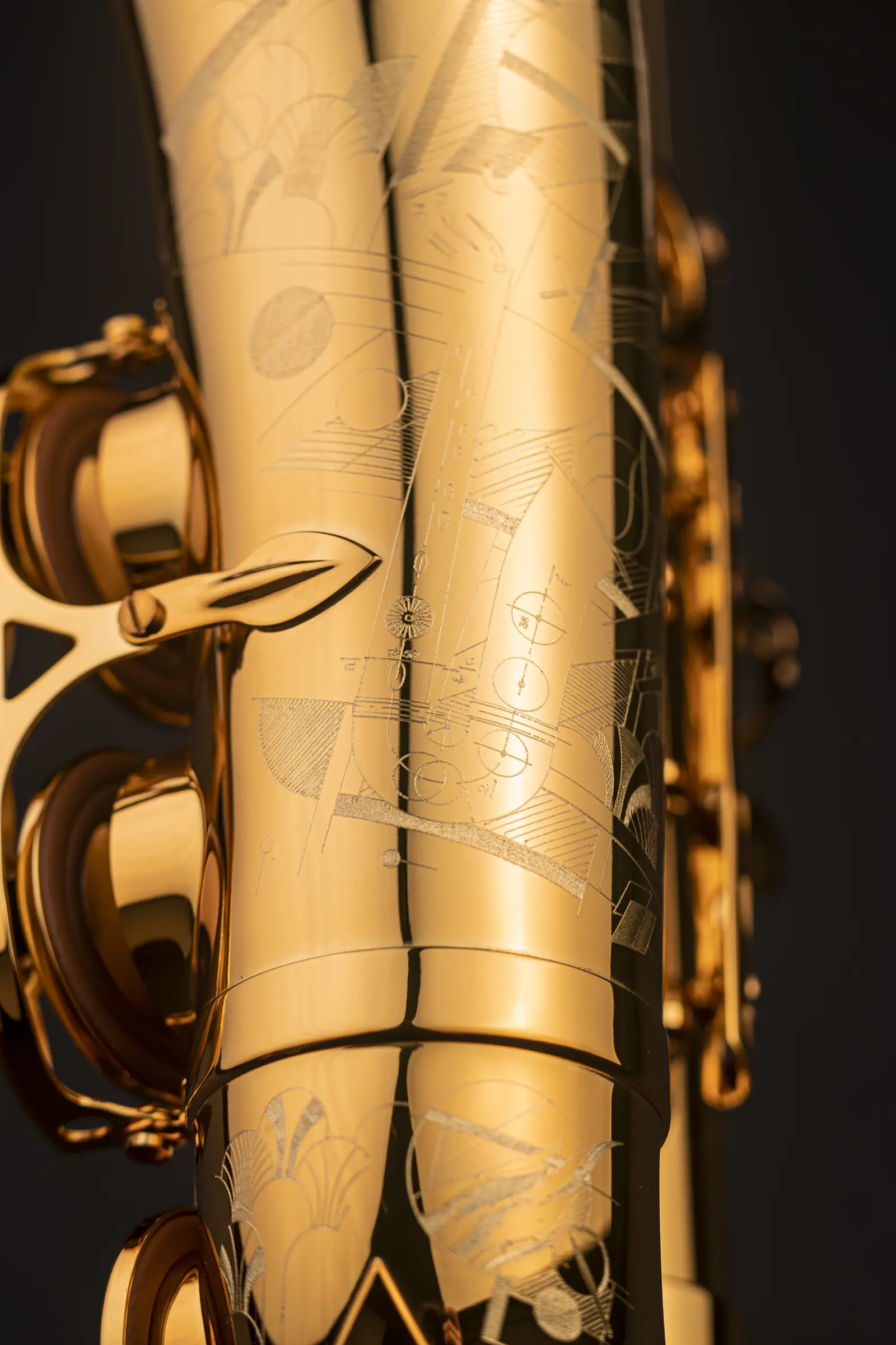 82SIG Selmer Professional Alto Saxophone ArtShot - zoomed in