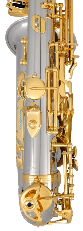 AW037 Yanagisawa Professional Alto Saxophone