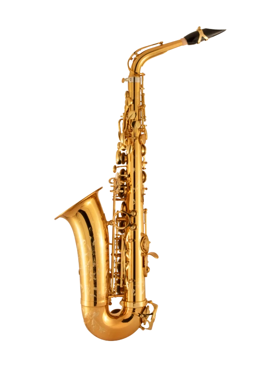 92DL HSP Professional Standard Alto Saxophone In Bk Vr Fs