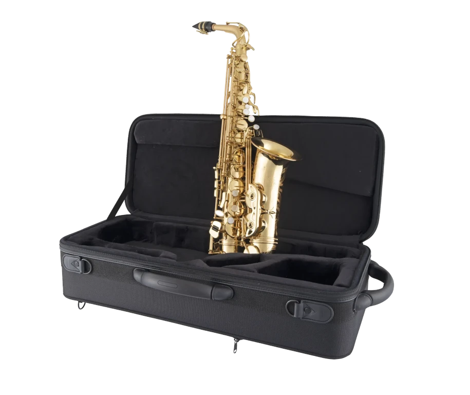 SAS511 Selmer Standard Alto Saxophone Ic Sd Hz