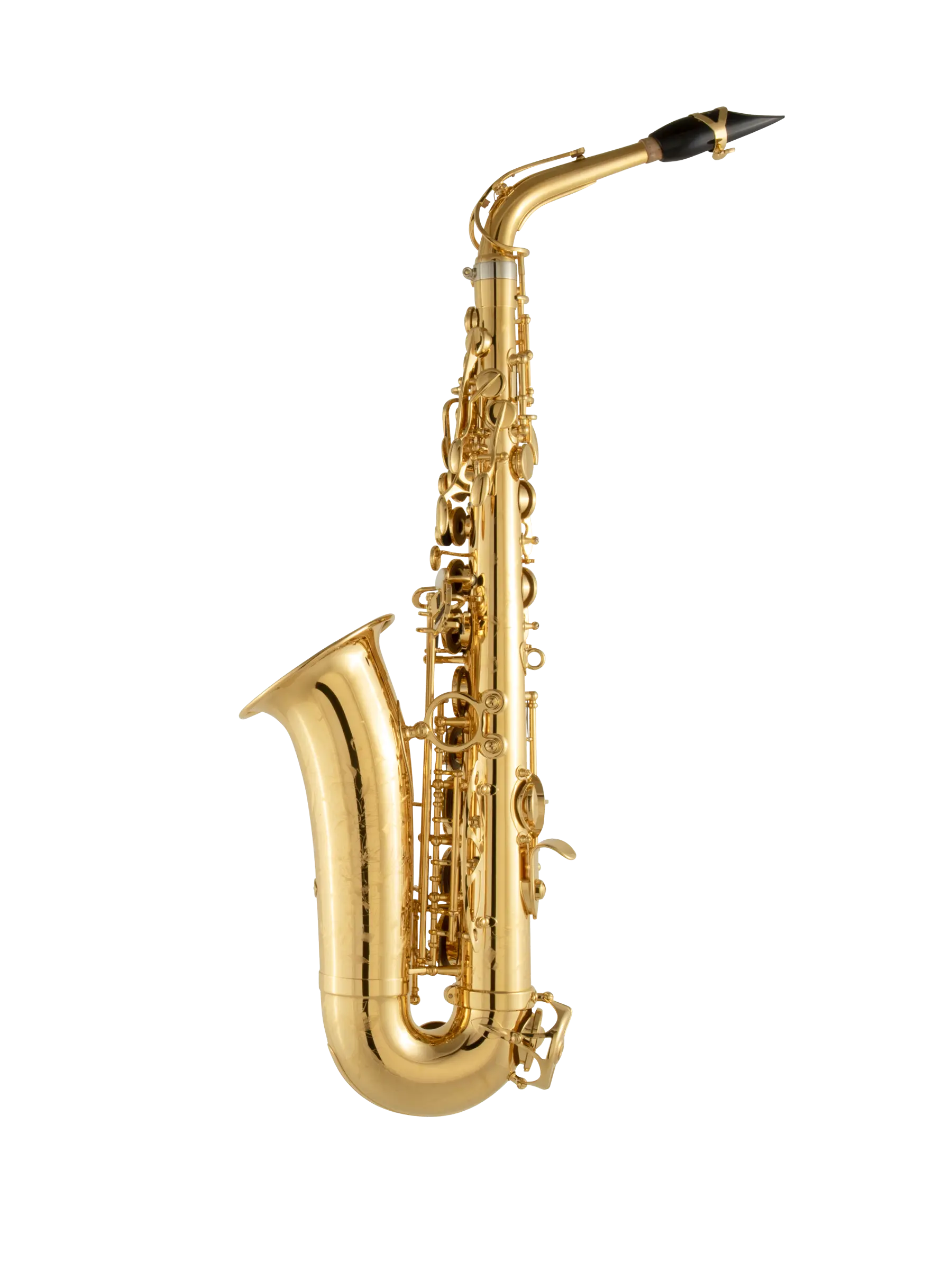 92GP HSP Professional Gold Alto Saxophone In Bk Vr Fs - zoomed in