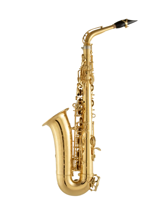 92GP HSP Professional Gold Alto Saxophone In Bk Vr Fs