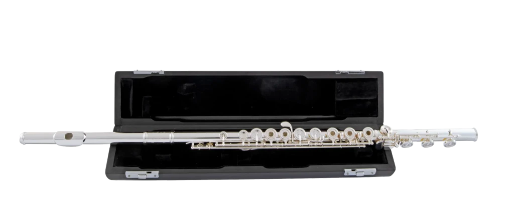 SFL511B Selmer Standard Intermediate Flute Ic Fr Hz Fs