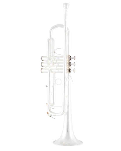 Bach Trumpet in Bb BTR411S