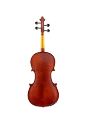 Scherl & Roth Violin SR41