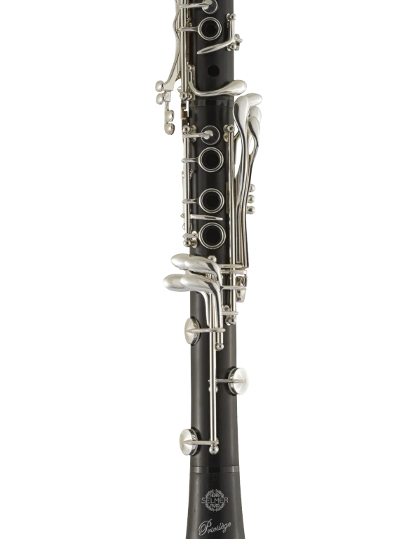 B16PR2EV HSP Professional Clarinet In Fr Vr Ms 2