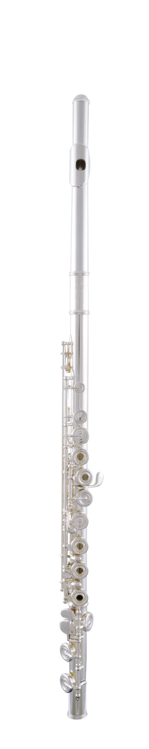 SFL301R Selmer Standard Student Flute In Fr Vr Fs - zoomed in
