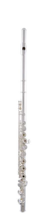 SFL301R Selmer Standard Student Flute In Fr Vr Fs