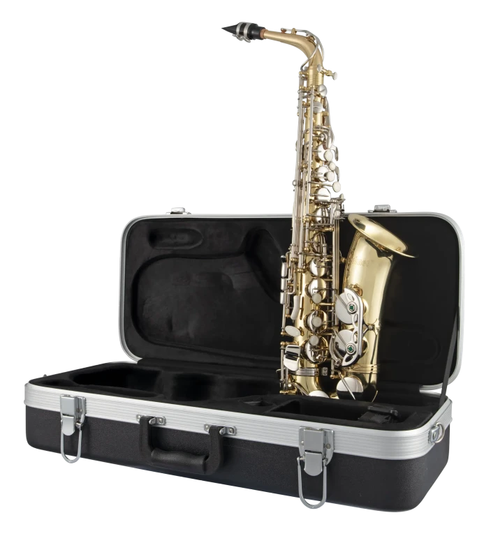 SAS201 Selmer Standard Student Alto Saxophone