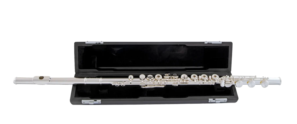 SFL411BO Selmer Standard Intermediate Flute Ic Fr Hz Fs