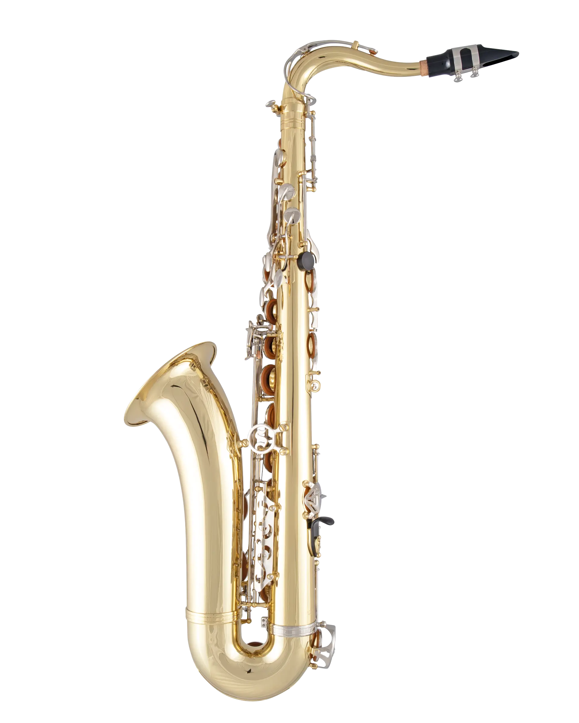 STS201 Selmer Student TenorSaxophone B - zoomed in