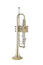 Bach Stradivarius Trumpet in Bb 19037