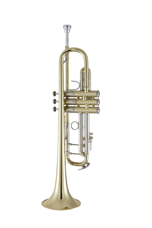 19037 Bach Professional Trumpet