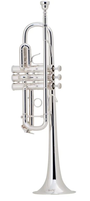 Bach Stradivarius Trumpet in C C180SL229W30 with #25H Bach Stradivarius Trumpet in C C180SL229W30 with #25H