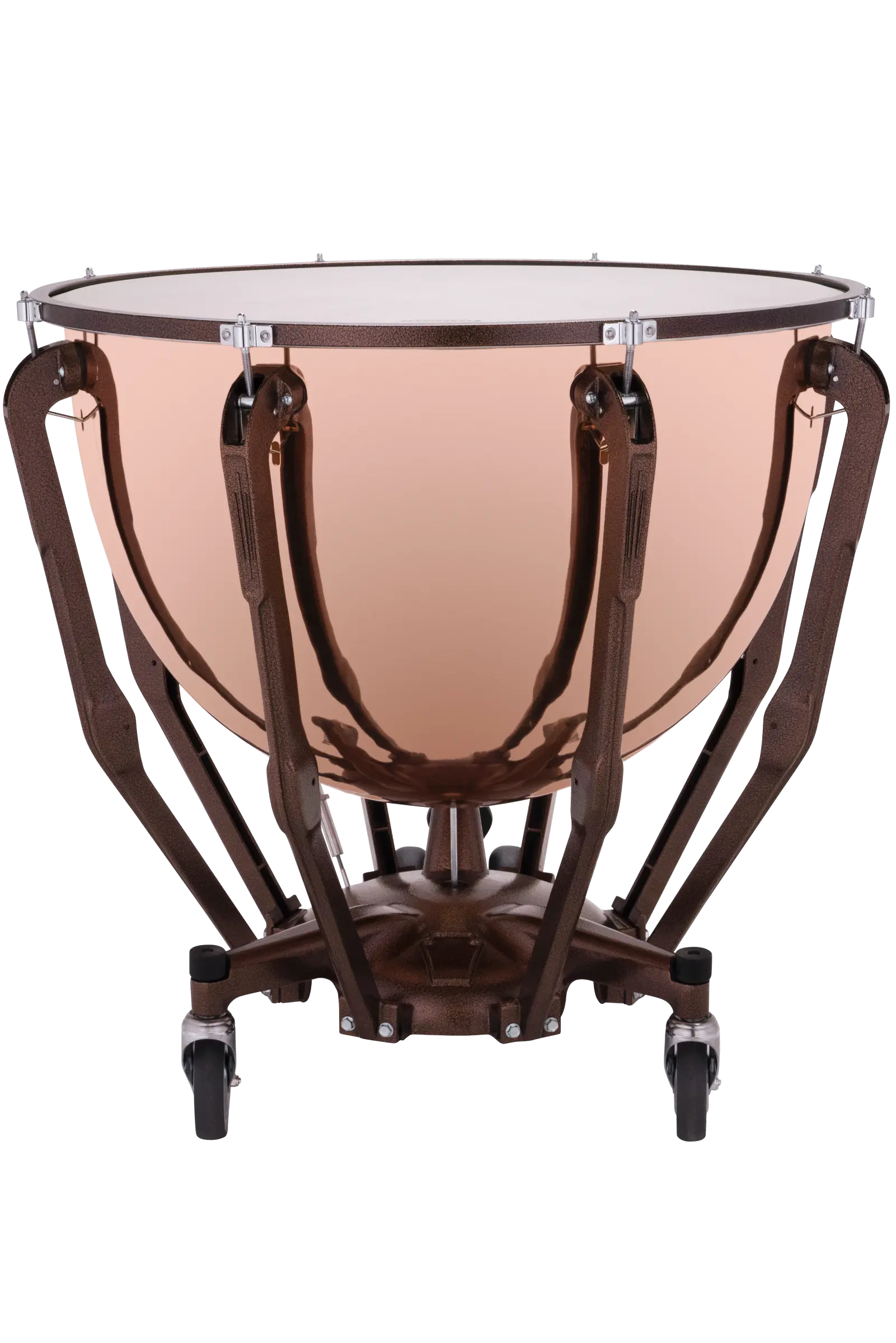 LTS432PG Ludwig STANDARD TIMP POL CPR 32 WG - zoomed in